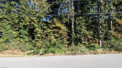 Lot 9 Curtis St, Ramseur, NC 27316 - photo 2