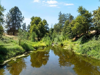 643 Covered Bridge Rd, Rogue River, OR 97537 - photo 3
