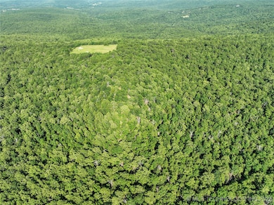 unlisted-address, Panola, OK 74578 - photo 4