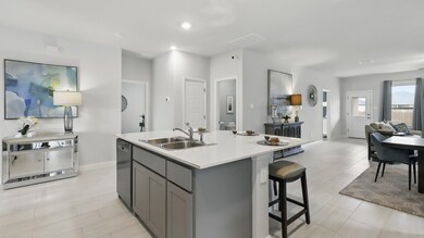 205 Affirmed Ct, Granbury, TX 76049 - photo 6