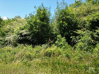 10961 Highway 97, Mc David, FL 32568 - photo 5