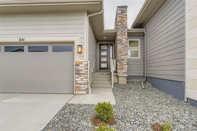 641 Bistort Point, Castle Rock, CO 80104 - photo 4
