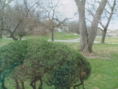Parkway view from MA BR