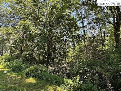 TBD Camden Ln, Blowing Rock, NC 28605 - photo 5