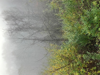 00 Hunter Branch Rd, Garrett, KY 41630 - photo 3