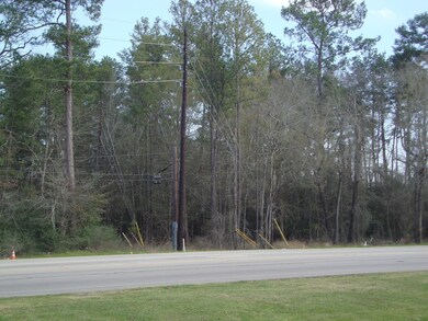 0 Honea Egypt Rd unit 31347702, Magnolia, TX 77354 - photo 4