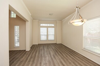 18 Belcarra Place, Spring, TX 77382 - photo 6