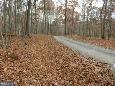 3 Warden Lake A B Dr, Wardensville, WV 26851 - photo 4