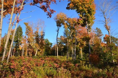 Maine Land for Sale in Sebec, Maine