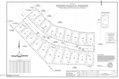 BV8 - Recorded Plat 2 jpeg