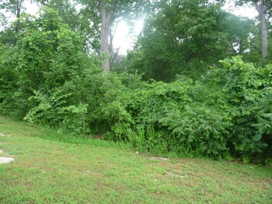 Tbd Oregon Ln, Ruth B Rural Township, MO 65686 - photo 2