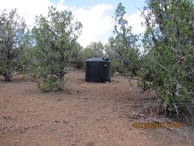 175 Juniperwood Ranch, Ash Fork, AZ 86320 - photo 3