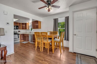 6-web-or-mls-DI4A1359