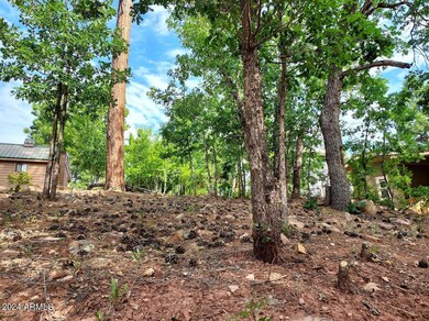 Treed RV lot