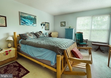 173 Emerald Dr, Harrisonburg, VA 22801 - photo 7