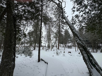walkway to lake