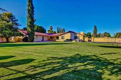 Huge Back Yard on over an acre lot