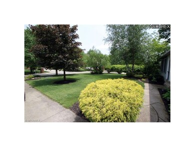 253 Steeplechase Ln Front Yard (North Facing)