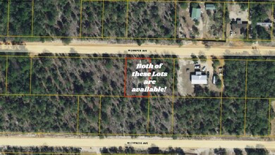 Lot 13 Juniper Lots