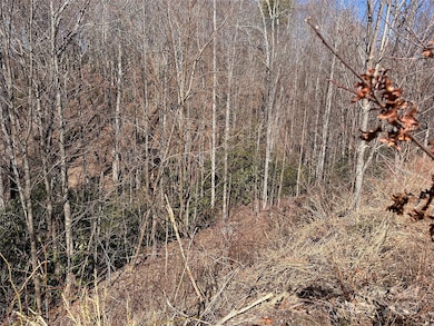 0 Winding Ridge unit 158 CAR4230713, Lake Lure, NC 28746 - photo 7