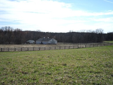 View to the West