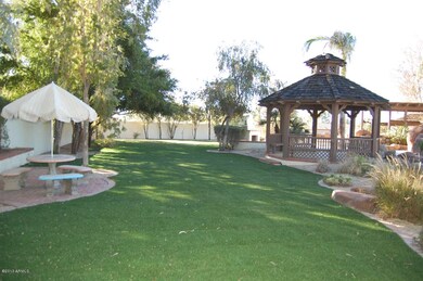 Lovely yard with lots of room for guests
