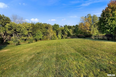 2247 W Augusta Dr, Dunlap, IL 61525 - photo 2