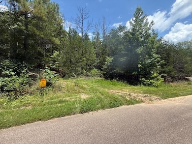 TRACT 6 Cherry Chapel Loop, Savannah, TN 38372 - photo 4