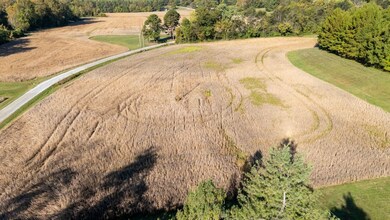 1810 Berryville Rd, Jonesboro, IL 62952 - photo 7