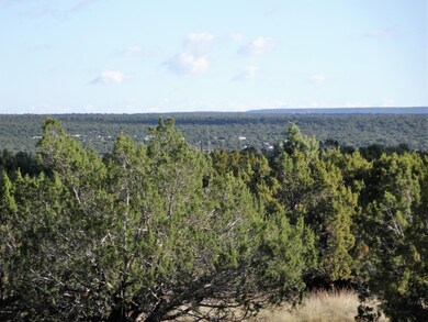 8575 Powells Ln, Show Low, AZ 85901 - photo 3