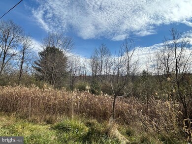 0 W Market St unit PADA2039736, Williamstown, PA 17098 - photo 3