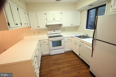 9316 Grazing Terrace, Montgomery Village, MD 20886 - photo 7