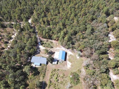 2549 Pine St, Pelion, SC 29123 - photo 5