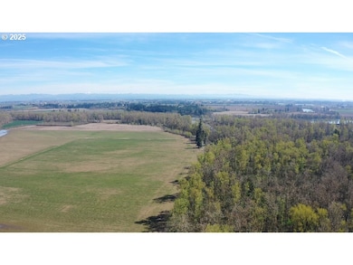 0 SE Upper Island Rd, Dayton, OR 97114 - photo 6