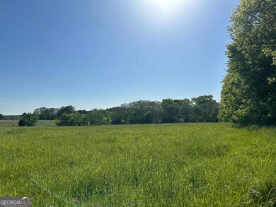 9.22 +/- ACRES Fieldcrest Ln, Madison, GA 30650 - photo 7