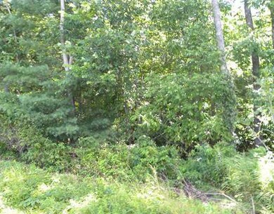 Land/Lot.