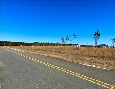 0 Camp Edgewood Rd unit SWL25001616, Dequincy, LA 70633 - photo 5