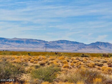 TBD Santa Cruz Rd 38 79 Acres --, Golden Valley, AZ 86413 - photo 7