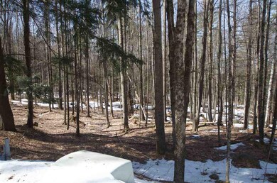 0 Manelick Rd unit 4,5,6,7 4850075, Stowe, VT 05672 - photo 4