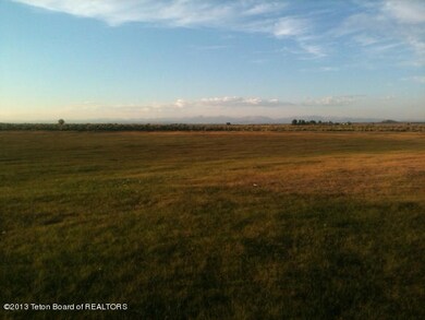 photo (12)