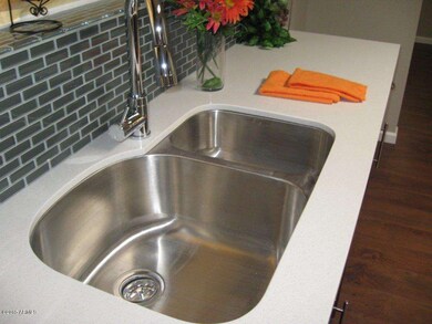 Upgraded sink and faucet in Kitchen