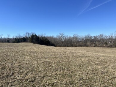 8 Marion Rd, Fredonia, KY 42411 - photo 4