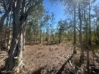 4 NE 1st Ave, Cape Coral, FL 33993 - photo 7