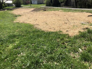 1000 E Market St, Johnson City, TN 37601 - photo 5