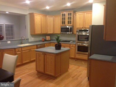 25384 Lisa Terrace, Aldie, VA 20105 - photo 7