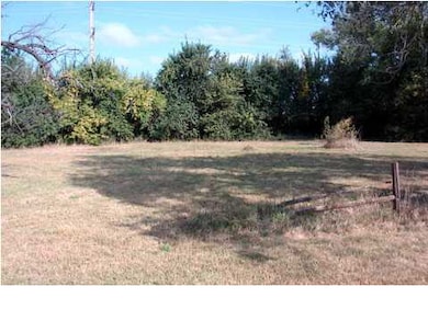 Big Back yard
