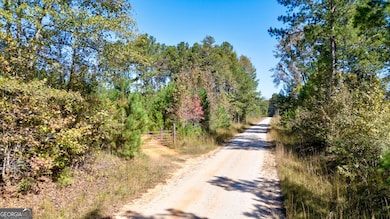 0 Bridges Rd, Carlton, GA 30627 - photo 2