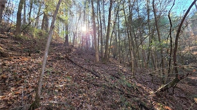 0 Dell Moore Rd, Marble Hill, GA 30148 - photo 3