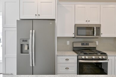 vista20-kitchen-cabinets