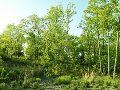 20201107201904062949000000-o